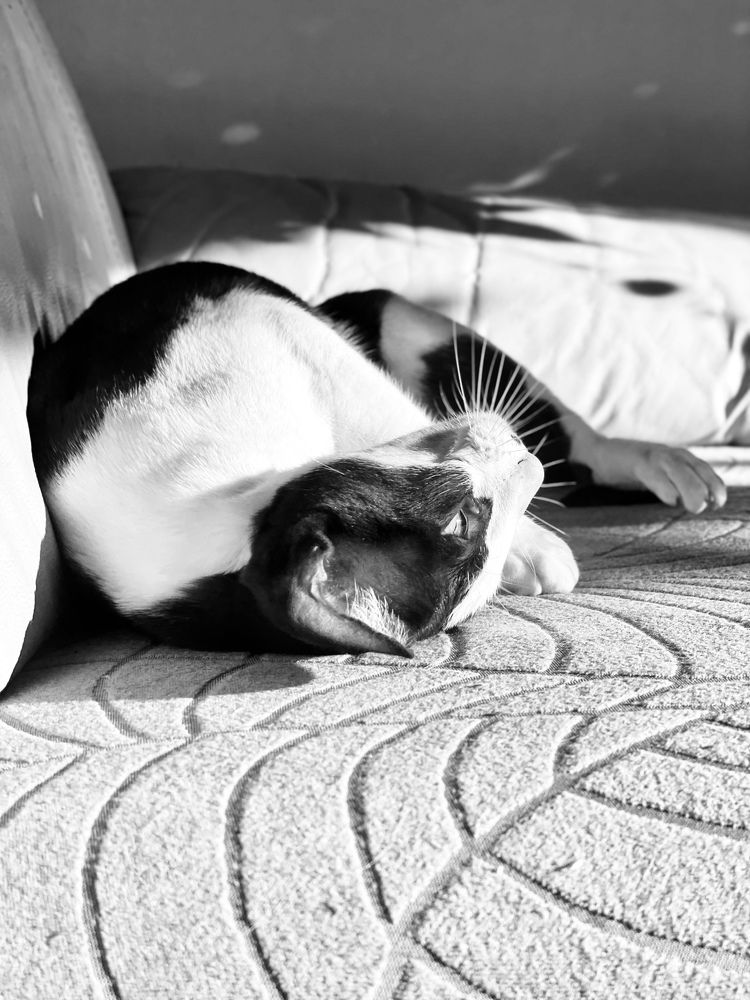 Photograph by Катерина