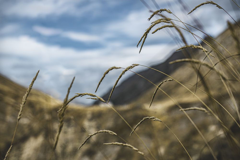 Photograph by Галина Еровенко