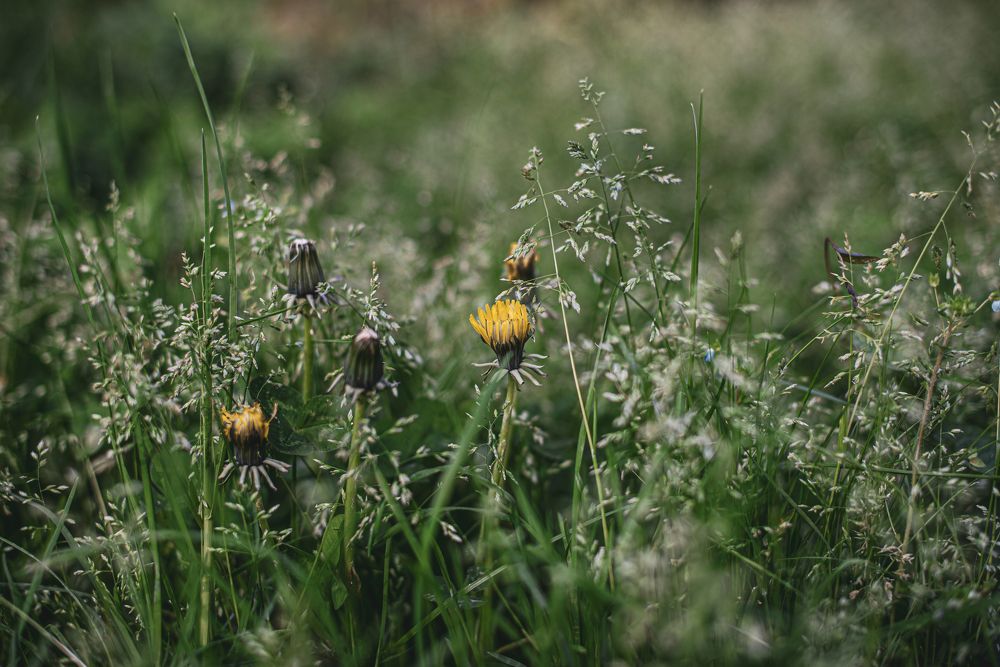 Photograph by Галина Еровенко