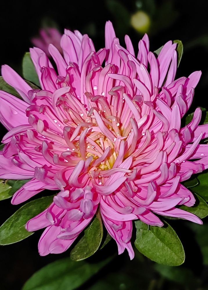 Photograph by Екатерина Борисовна Кузьмина