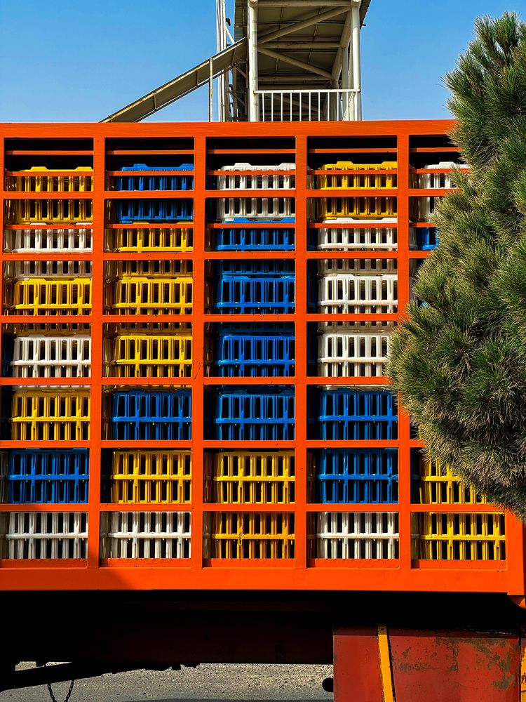 Photograph by Александр Тагаев