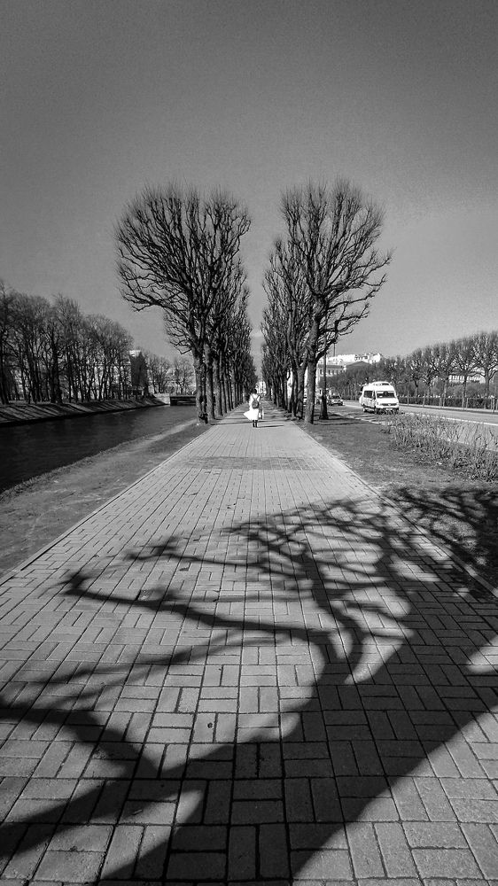 Photograph by Дмитрий Васильев