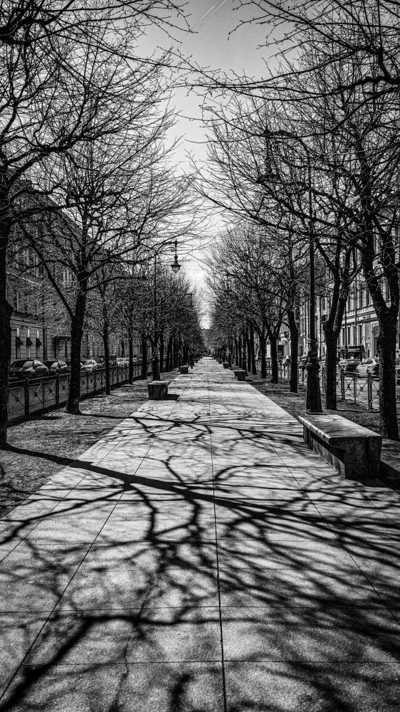 Photograph by Дмитрий Васильев