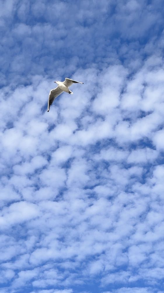 Фотография автора Анна