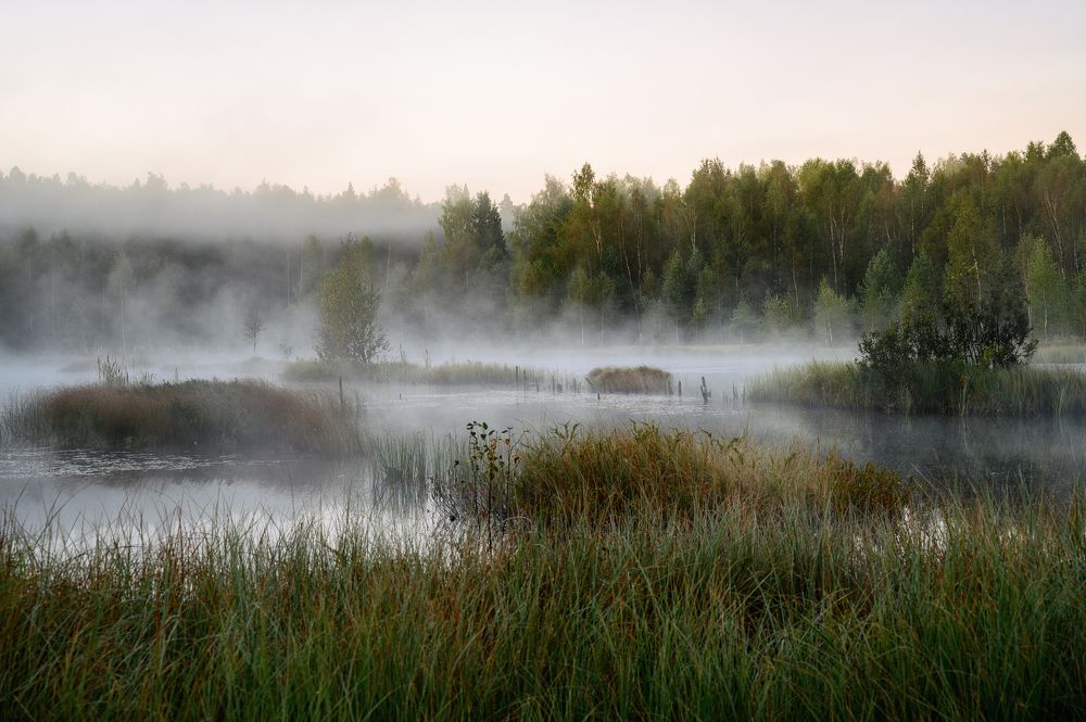 Photograph by Нуждин Андрей