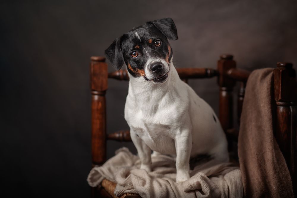 Photograph by Goené Gertrude