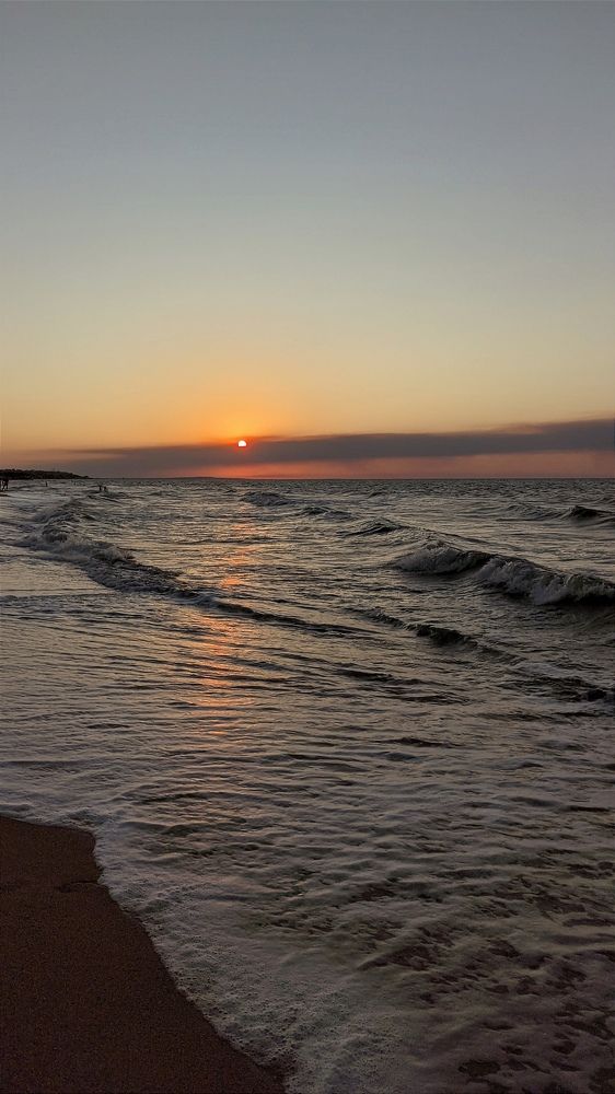 Фотография автора Васильева Ирина