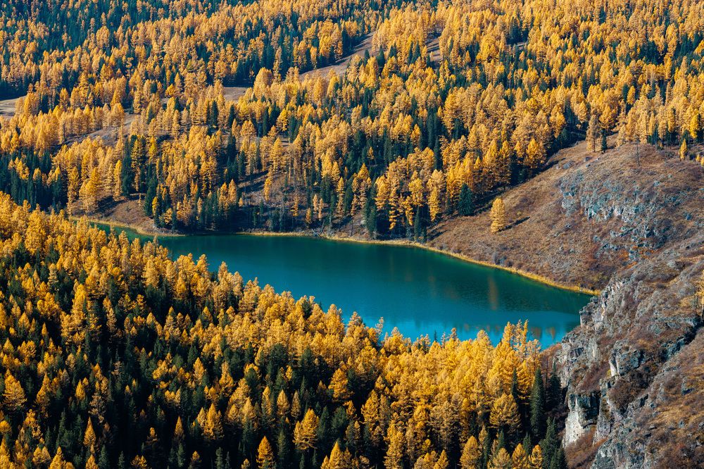 Photograph by Людмила Аксенова