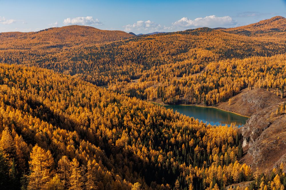 Photograph by Людмила Аксенова