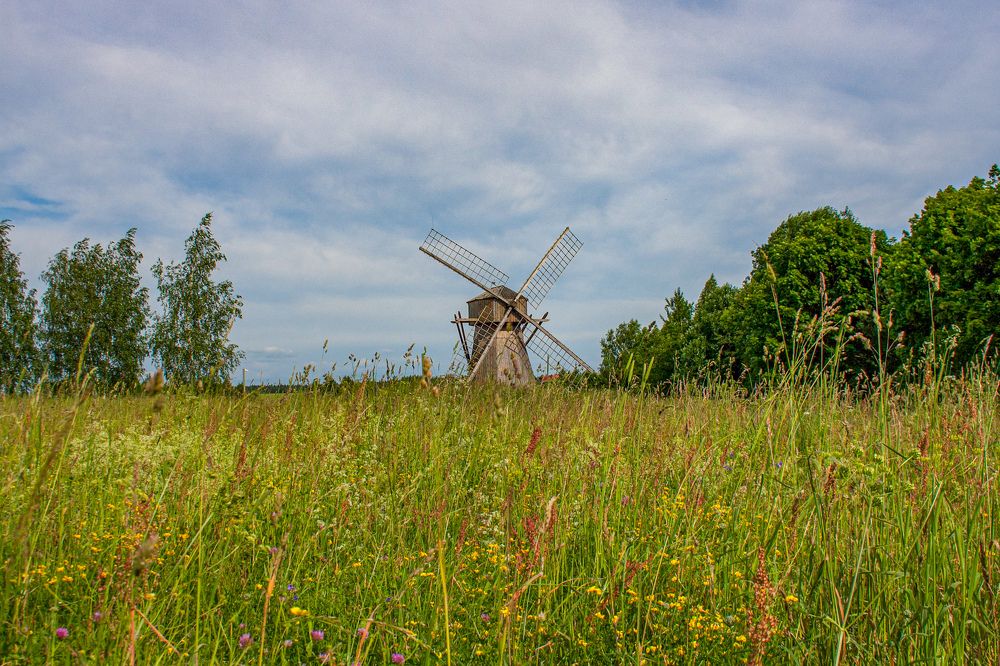 Photograph by Юлия Алексейчикова