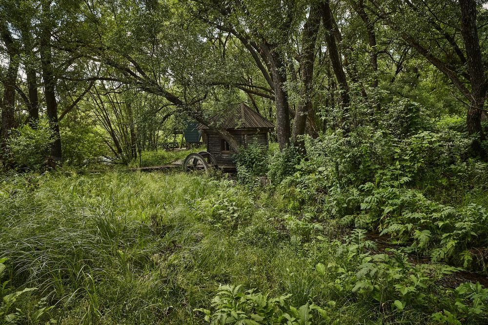 ИСТОКИ ХОПРА