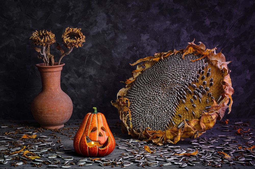 Photograph by Sahar Jafari