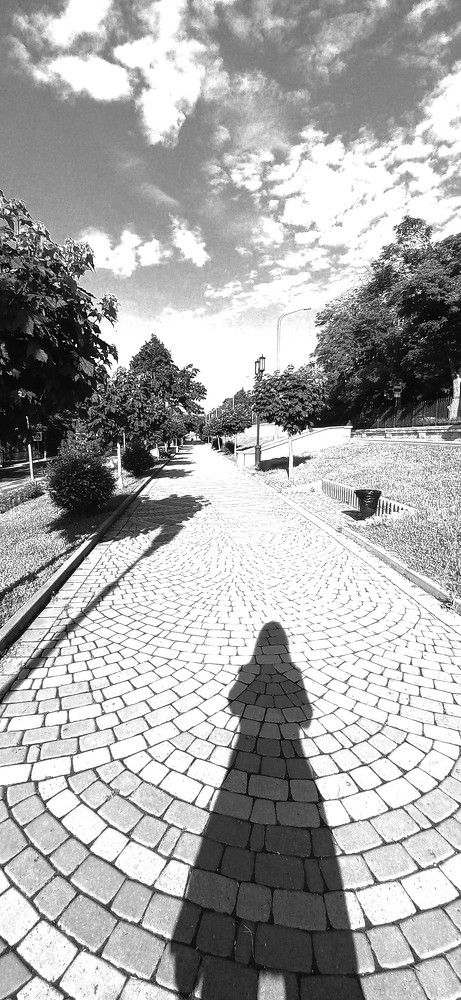 Photograph by Галина Воеводенко