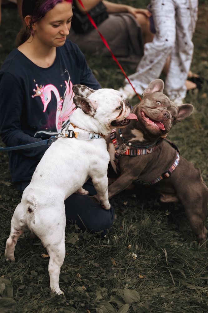 Photograph by Светлана