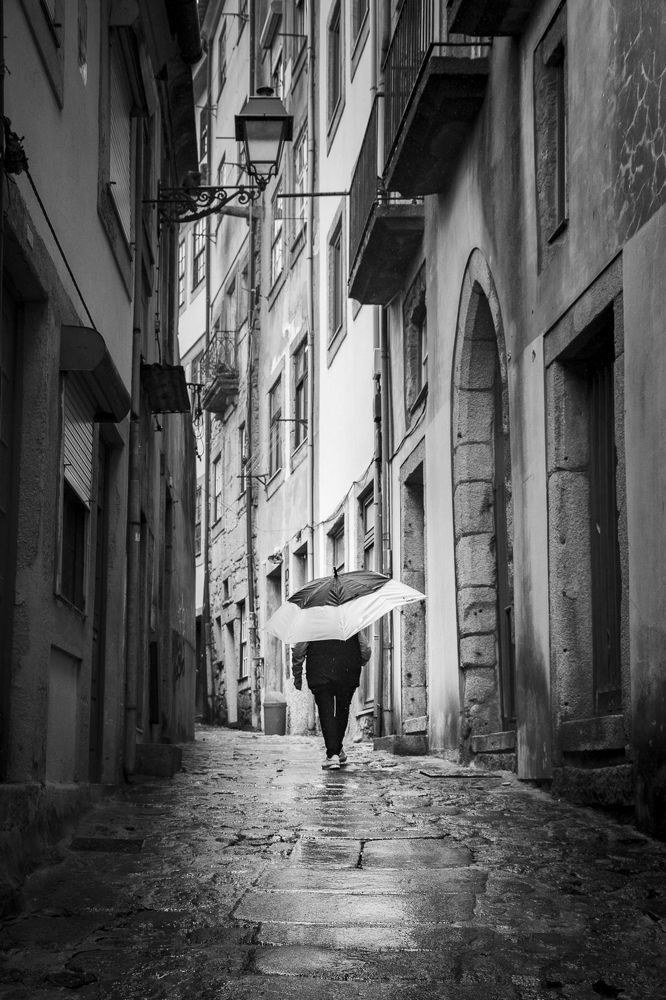 Фотография автора Catarina Almeida