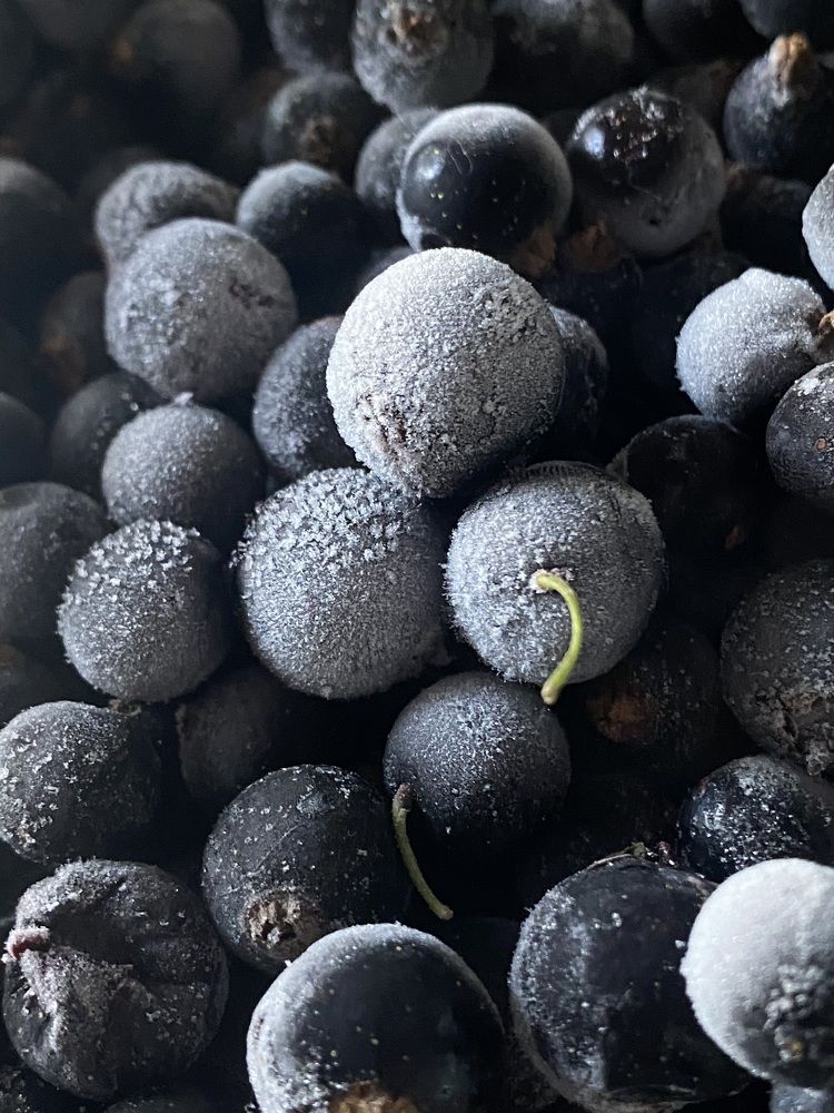 Photograph by Луиза Баширова