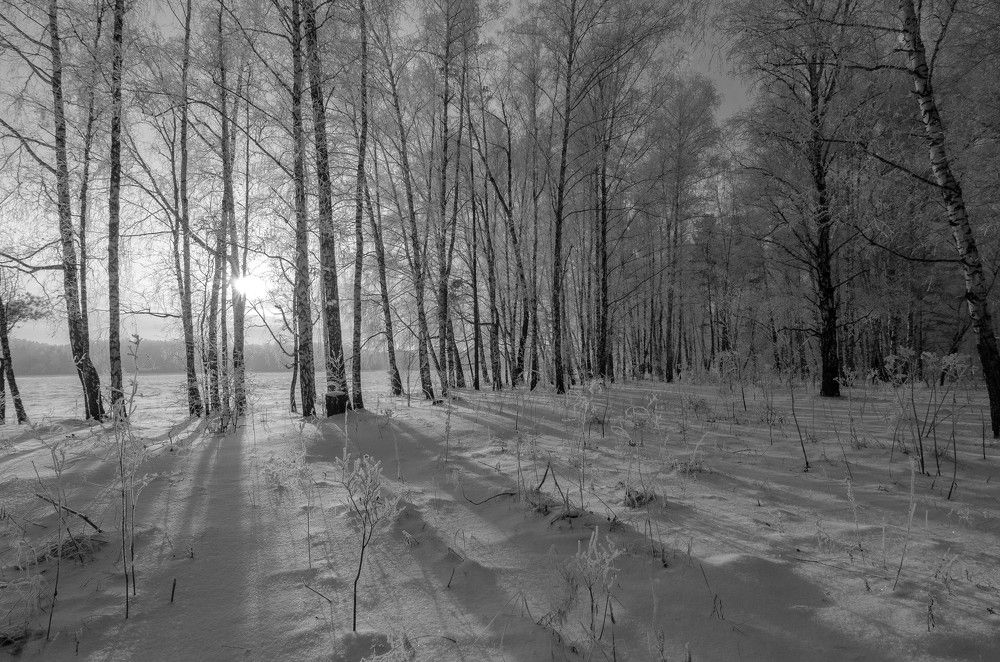 Photograph by Вадим Басов