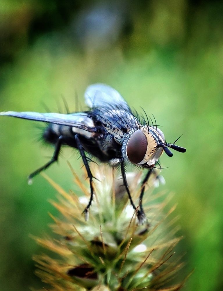 Photograph by Дина Желанова