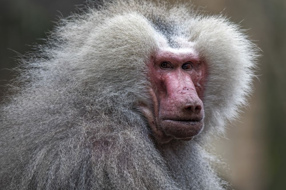 Photograph by Chris Fraikin