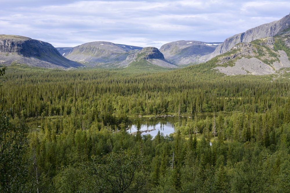 Photograph by Ирина Кучеренко