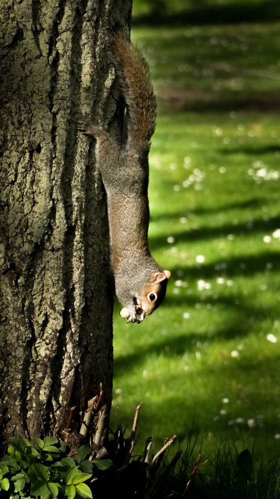 Photograph by Iryna Pravdiuk