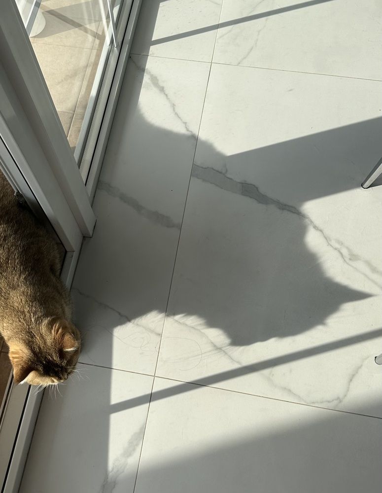 Photograph by Наталья Берон