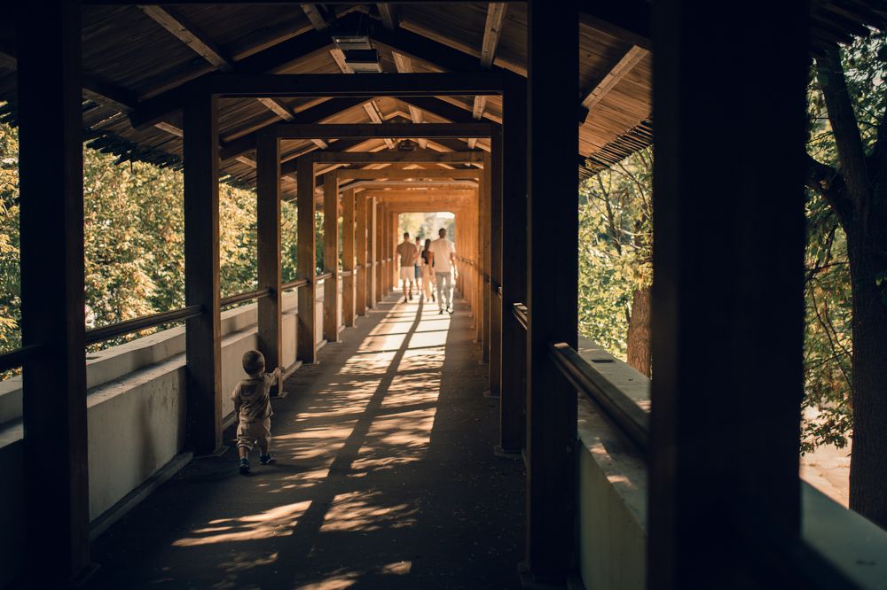 Photograph by Елена Гайдарова