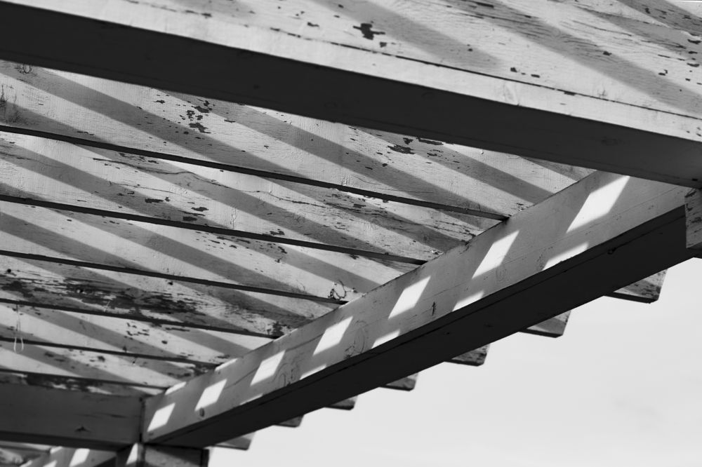 Photograph by Анастасия Сидранская