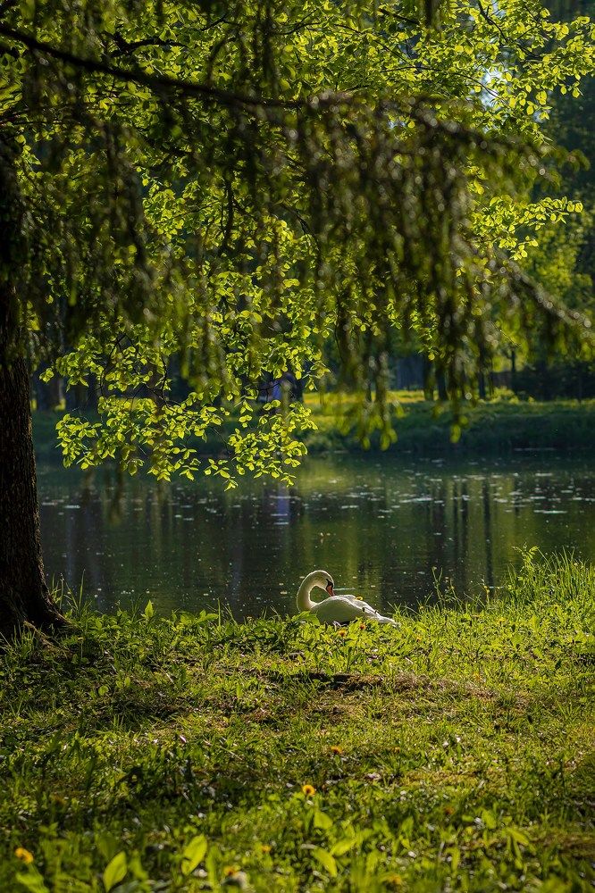Photograph by Анастасия Белякова