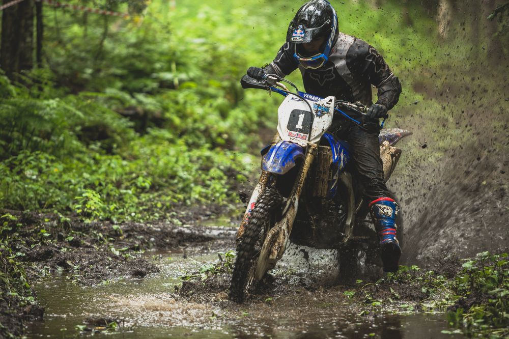 Photograph by Александр Салякаев