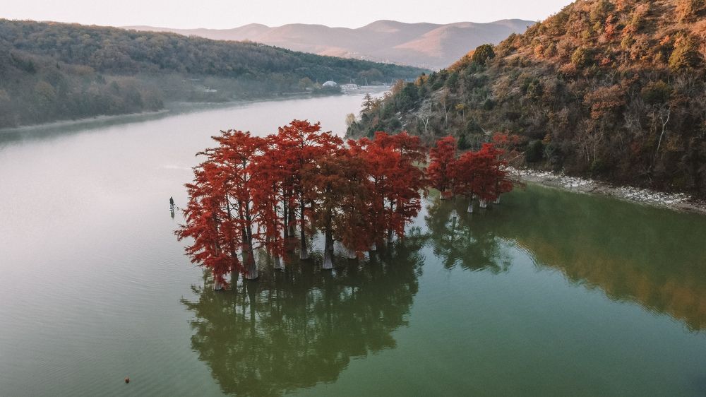 Photograph by Ирина Баринова