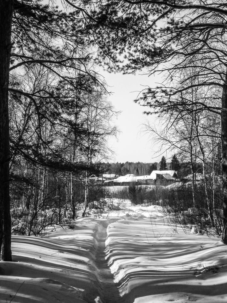 Photograph by Игорь Тюменцев