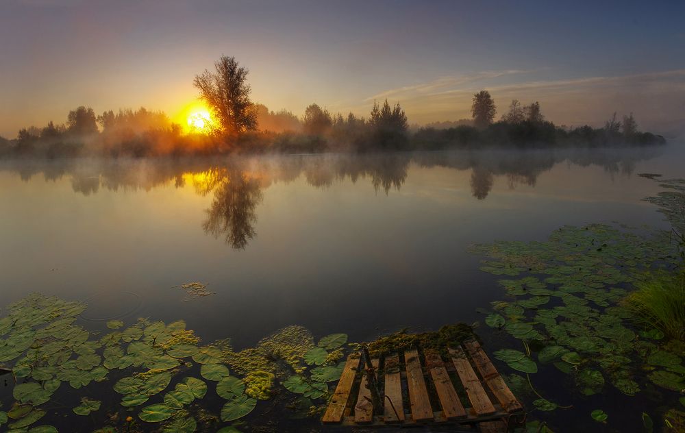 Photograph by Чичкин Валерий