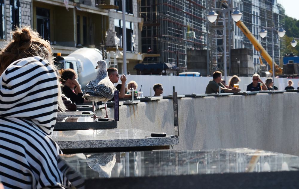 Photograph by николай конденко