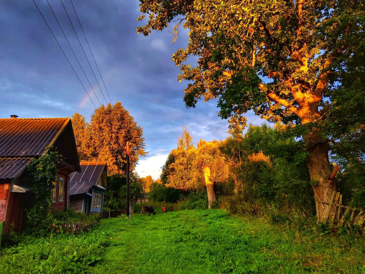 Photo #11018086