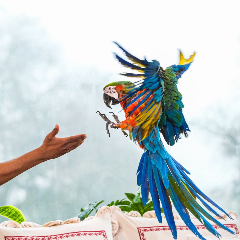 Photograph by Shaas AL Najjar