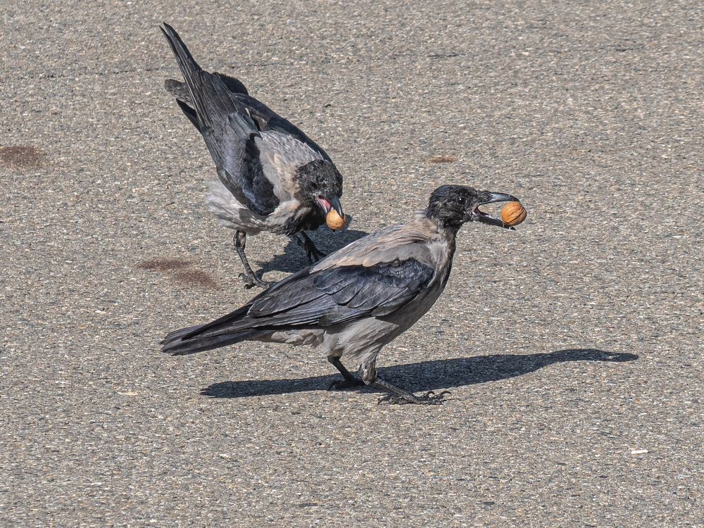 Photograph by Виталий Маслов