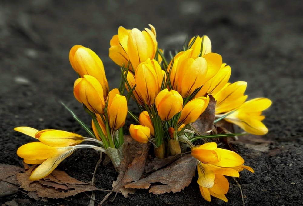 Photograph by Соколова Елена