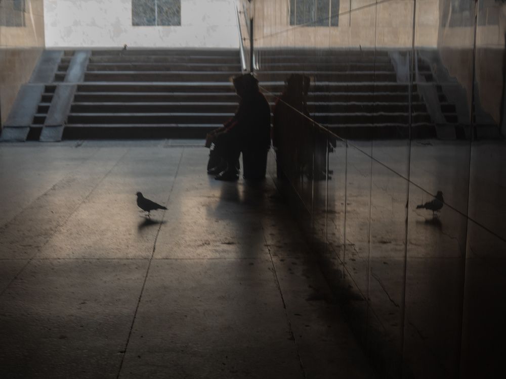 Photo #11018199