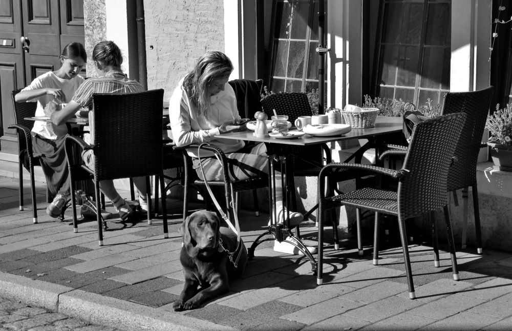 Photograph by backareva irina