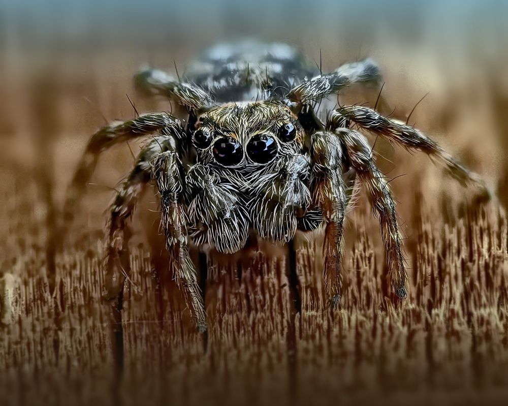 Photograph by Кузнецов Дмитрий