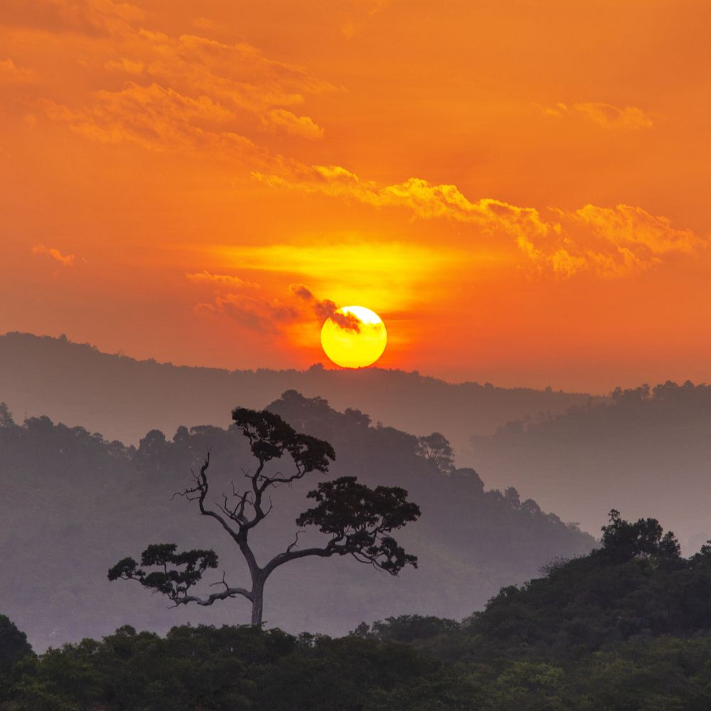 Фотография автора Nghĩa Trịnh