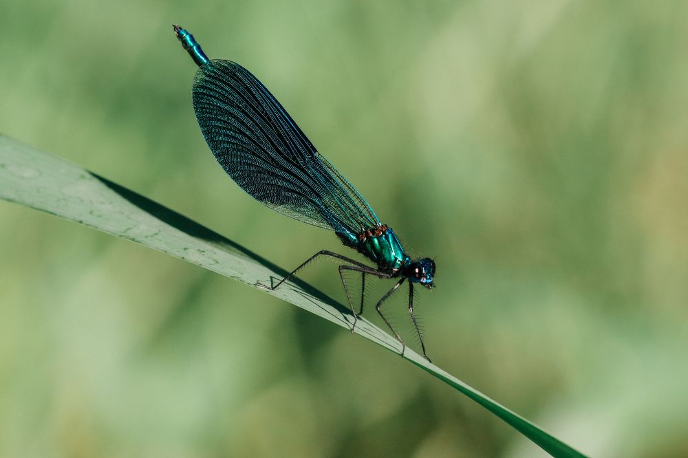 Photograph by Виктория Писаренко