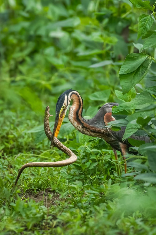 Photograph by DHANUSH S L