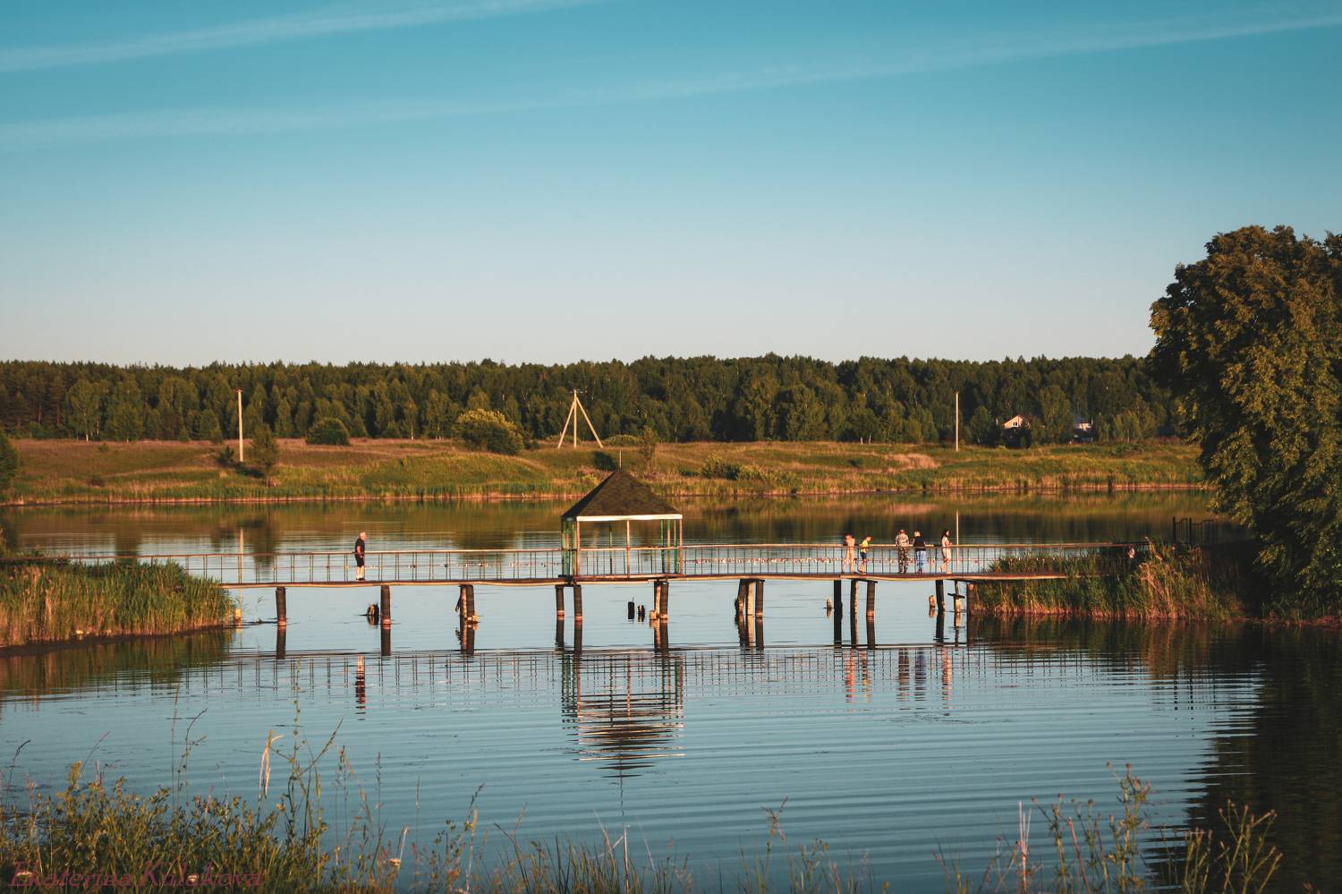 Photo #11018464