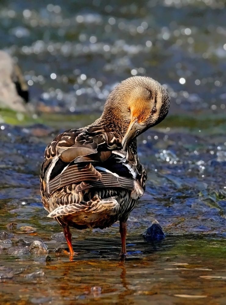 Photograph by Татьяна Слесарева