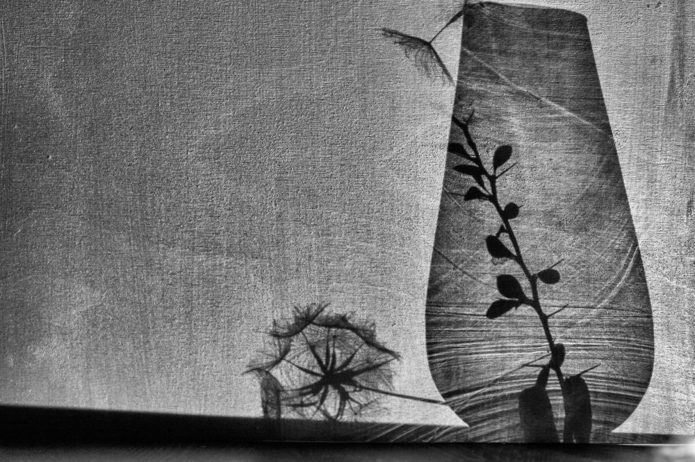 Photograph by Копцев Игорь