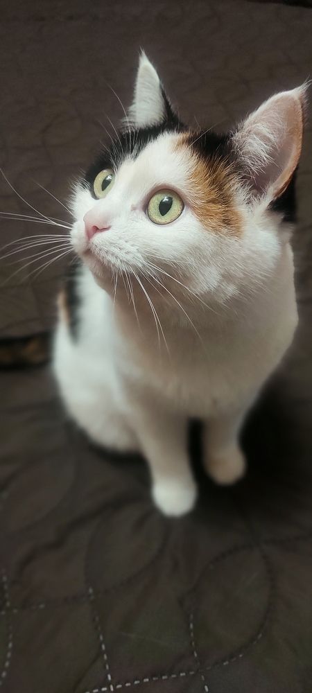 Фотография автора Наталья Сероглазова