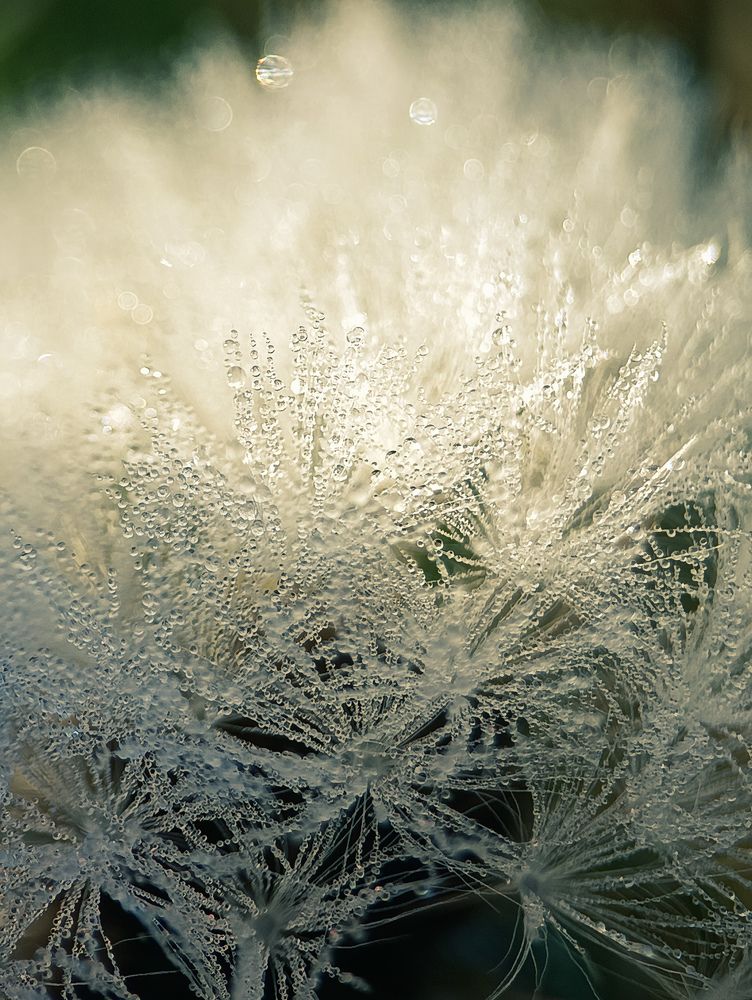 Photograph by Юлия Смирнова