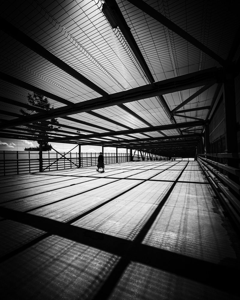 Photograph by Копцев Игорь